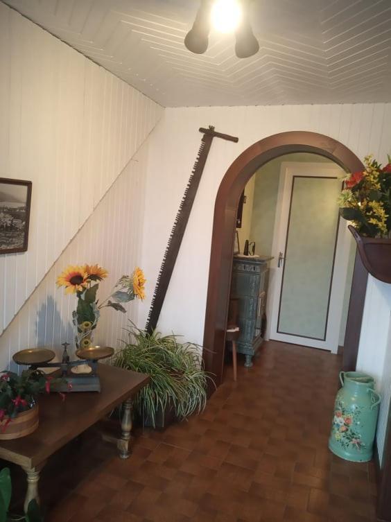 "Chez J-P" Bel Appartement 2 P Classe 3 Etoiles Situe Au Calme Avec Terrasse, Jardin Et Wifi Gratuite Жерарме Екстер'єр фото